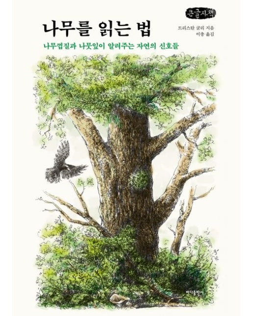 나무를 읽는 법(큰글자책) (나무껍질과 나뭇잎이 알려주는 자연의 신호들)