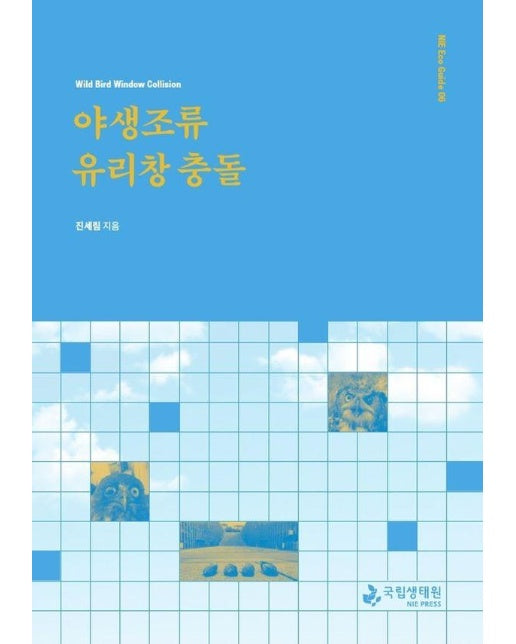 야생조류 유리창 충돌 - NIE Eco Guide 6