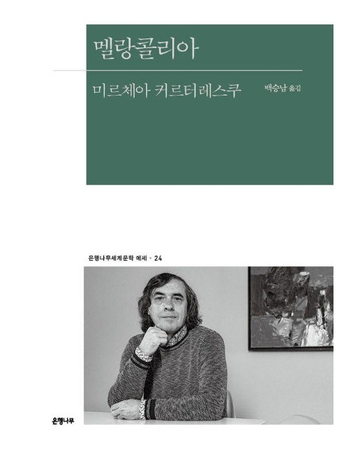 멜랑콜리아 - 은행나무 세계문학 에세 24