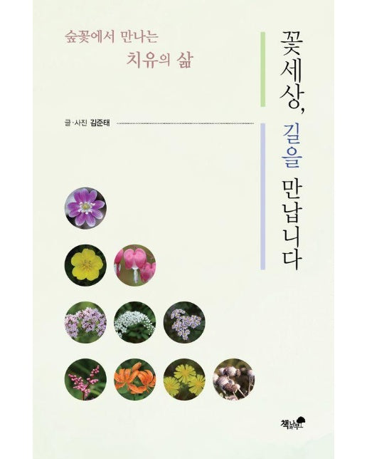 꽃세상, 길을 만납니다 : 숲꽃에서 만나는 치유의 삶