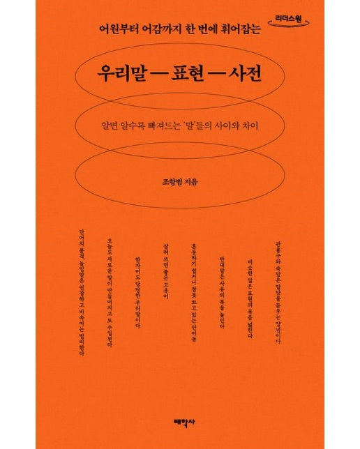 우리말 표현 사전(큰글자도서) (알면 알수록 빠져드는 '말'들의 사이와 차이)
