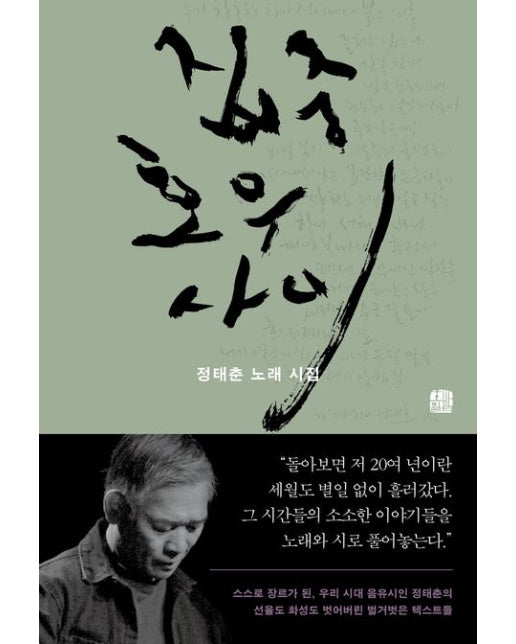 집중호우 사이 (정태춘 노래시집)