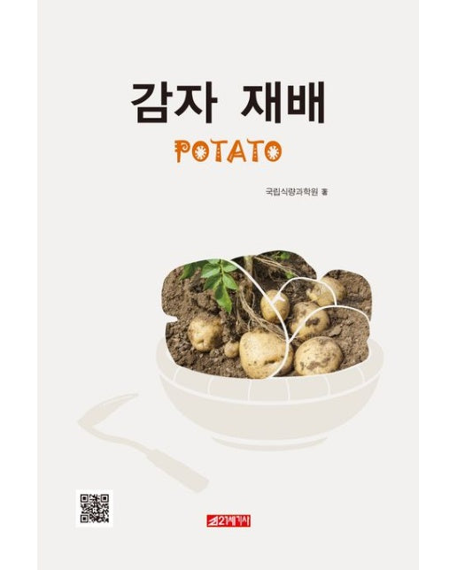 감자 재배