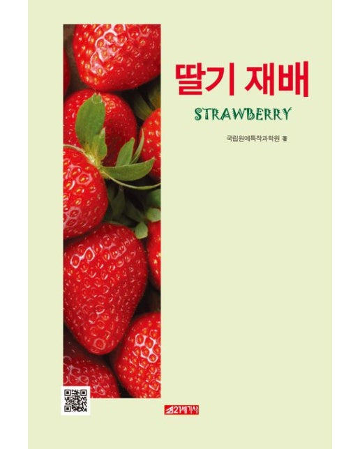 딸기 재배