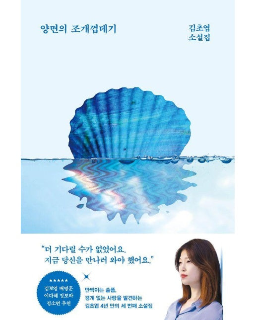 양면의 조개껍데기