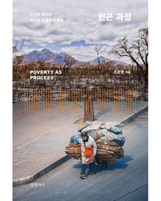 빈곤 과정 (양장)