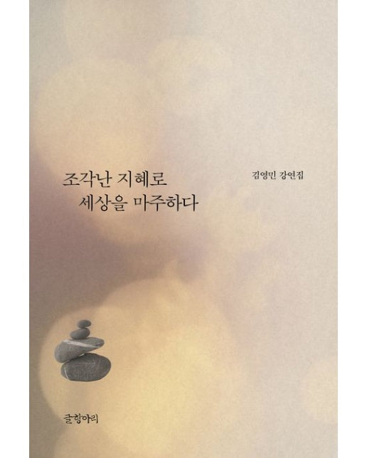 조각난 지혜로 세상을 마주하다(큰글자도서) (김영민 강연집)