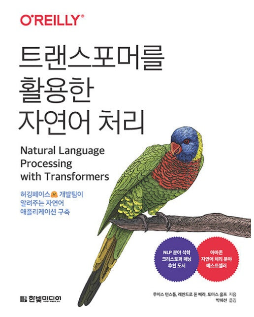 트랜스포머를 활용한 자연어 처리 : 허깅페이스 개발팀이 알려주는 자연어 애플리케이션 구축