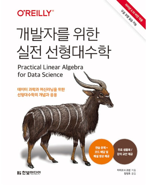 개발자를 위한 실전 선형대수학 : 파이썬 3.10 버전 대응, 구글 코랩 실습 가능