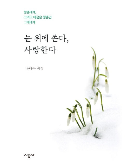 눈 위에 쓴다, 사랑한다 : 청춘에게, 그리고 마음은 청춘인 그대에게