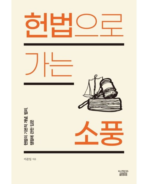 헌법으로 가는 소풍 (헌법의 기본적 개념, 법리, 쟁점에 관한 입문)