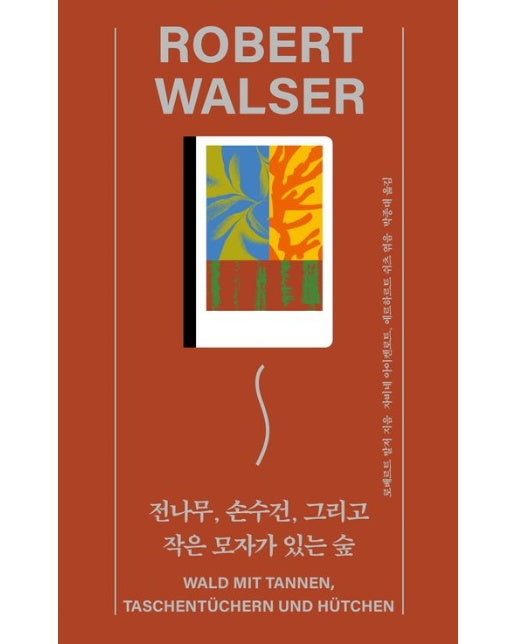 전나무, 손수건, 그리고 작은 모자가 있는 숲