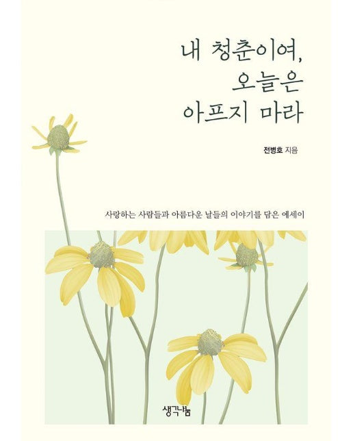 내 청춘이여, 오늘은 아프지 마라