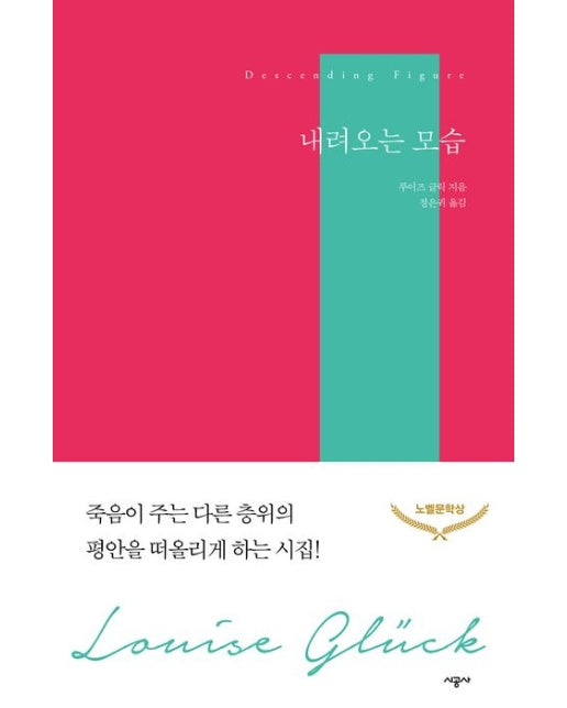 내려오는 모습 (죽음이 주는 다른 층위의 평안을 떠올리게 하는 시집)