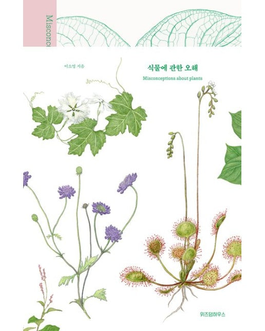 식물에 관한 오해(큰글자도서) (양장본 Hardcover)