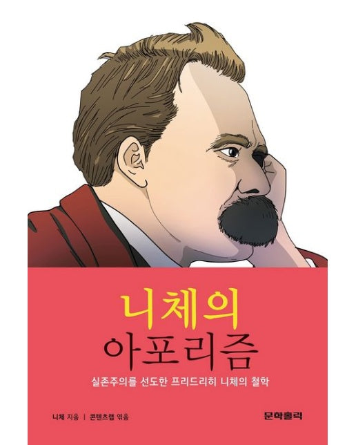 니체의 아포리즘 (반양장)