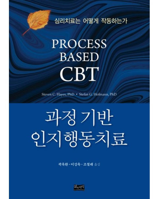 과정 기반 인지행동치료 (심리치료는 어떻게 작동하는가)