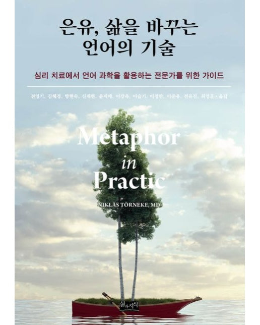 은유, 삶을 바꾸는 언어의 기술 (심리 치료에서 언어 과학을 활용하는 전문가를 위한 가이드)