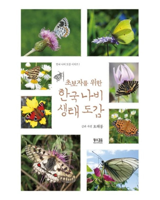 초보자를 위한 한국 나비 생태 도감