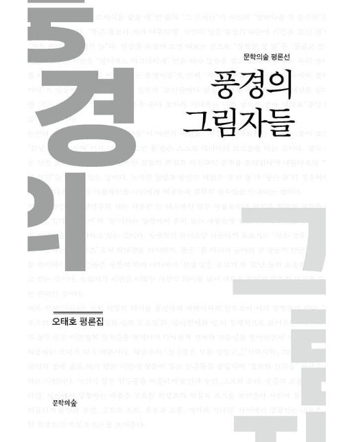 풍경의 그림자들 - 문학의숲 평론선