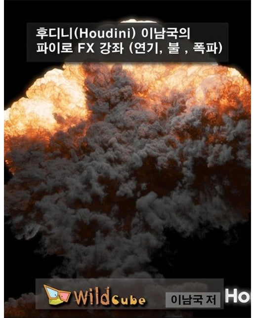 후디니(Houdini) 이남국의 파이로 FX 강좌 (연기, 불 , 폭파)(USB)