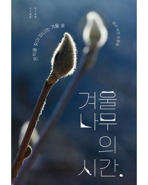 겨울나무의 시간 (흔적을 찾아 떠나는 겨울 숲)