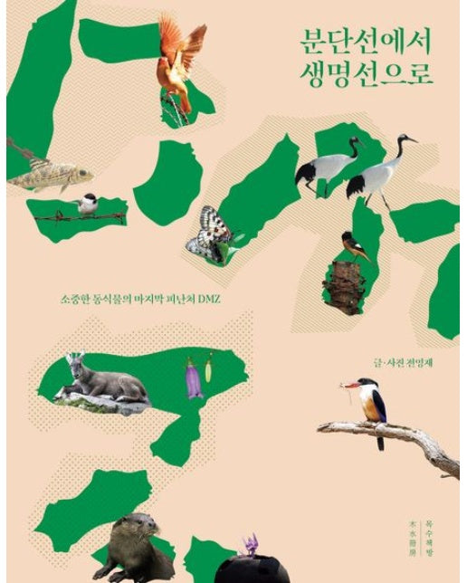 분단선에서 생명선으로(큰글자도서) (소중한 동식물의 마지막 피난처 DMZ)