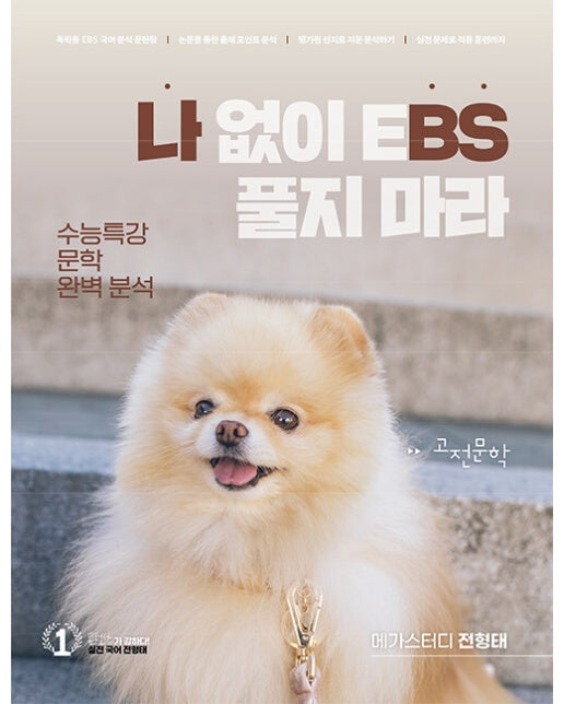 나BS 나 없이 EBS 풀지 마라 : 고전문학 (2023)