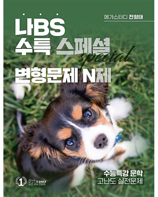 나BS 나 없이 EBS 풀지 마라 스페셜 N제 : 수특 변형문제 (2023년)