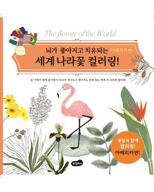 세계 나라꽃 컬러링: 아메리카편