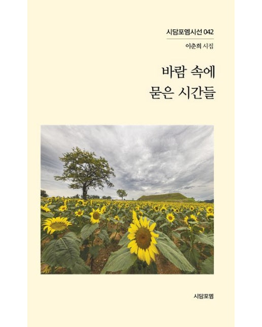 바람 속에 묻은 시간들 - 시담포엠시선 42