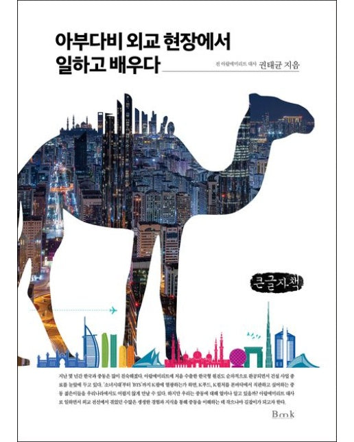 아부다비 외교 현장에서 일하고 배우다(큰글자책)