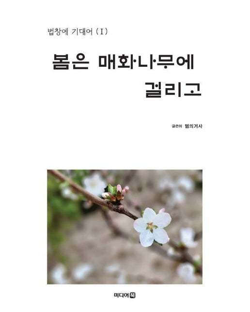 봄은 매화나무에 걸리고 - 법창에 기대어 1