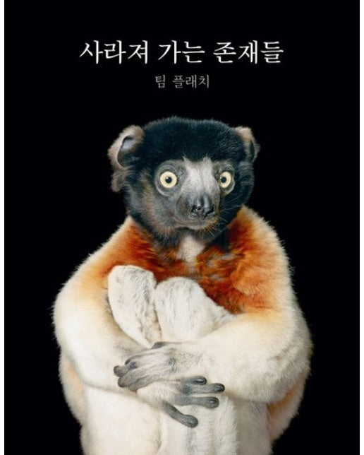 사라져 가는 존재들 (양장본 Hardcover)