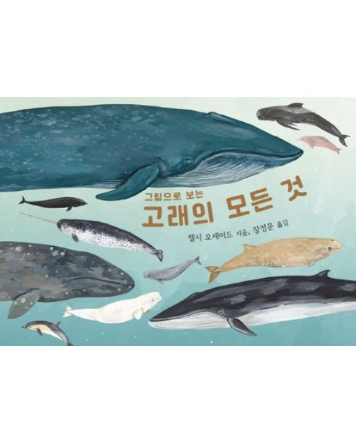 고래의 모든 것 (양장본 Hardcover)