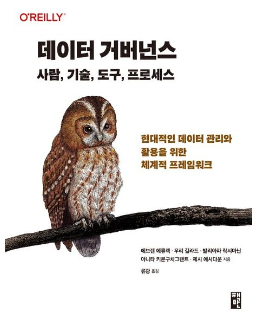 데이터 거버넌스: 사람, 기술, 도구, 프로세스 (현대적인 데이터 관리와 활용을 위한 체계적 프레임워크)