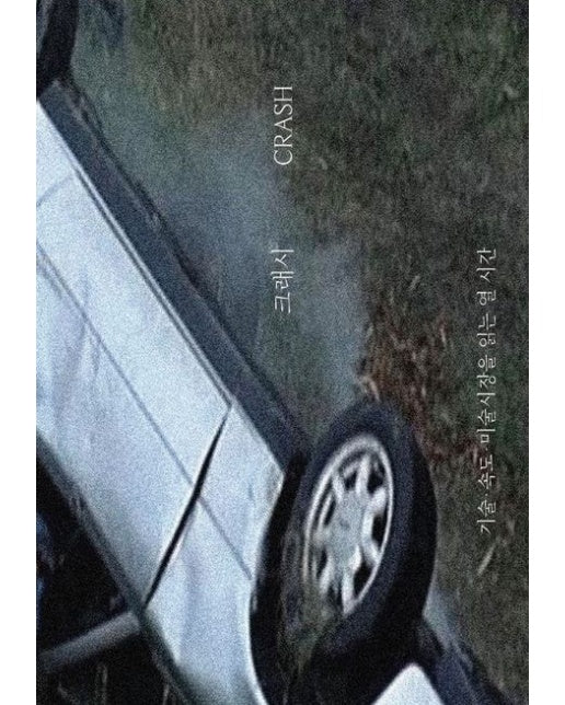 크래시 (기술·속도·미술시장을 읽는 열 시간)