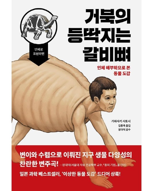 거북의 등딱지는 갈비뼈 : 인체 해부학으로 본 동물 도감