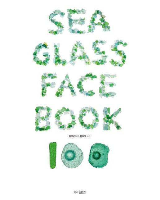 Sea Glass Face Book 100 (양장본 Hardcover)