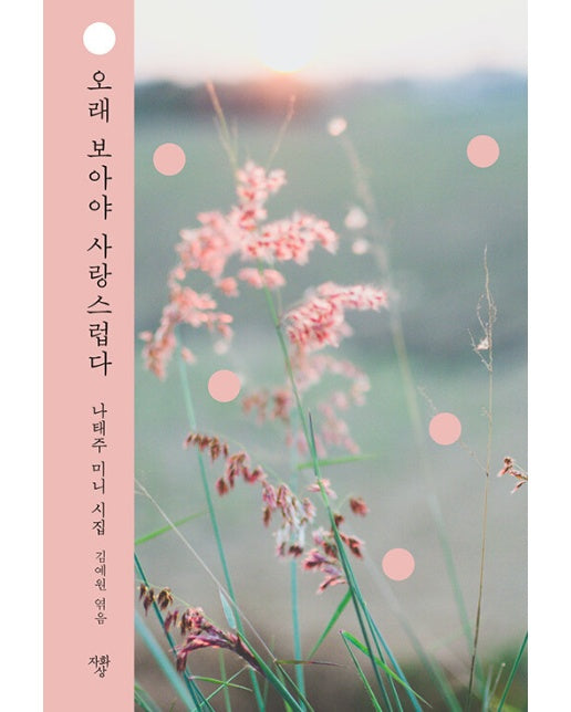 오래 보아야 사랑스럽다 - 나태주 미니 시집