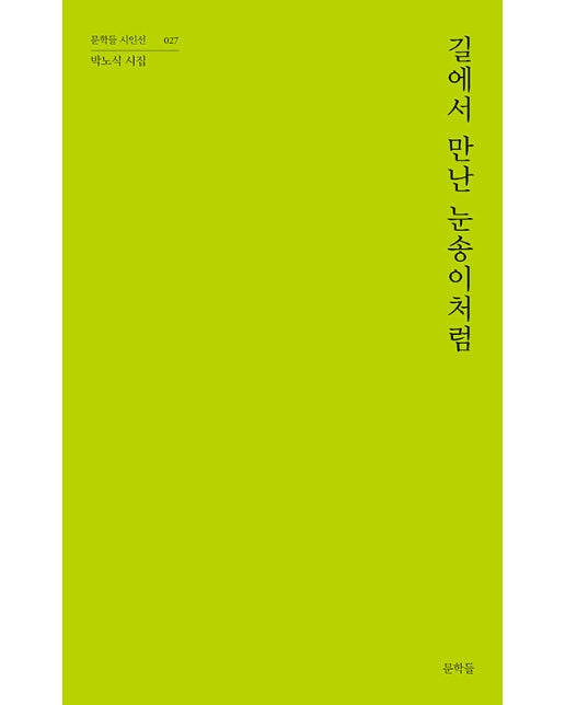 길에서 만난 눈송이처럼 - 문학들 시인선 27