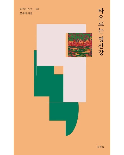 타오르는 영산강 - 문학들 시인선 31