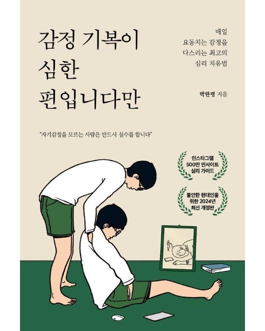 감정 기복이 심한 편입니다만 : 매일 요동치는 감정을 다스리는 최고의 심리 치유법