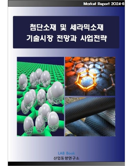 첨단소재 및 세라믹소재 기술시장 전망과 사업전략