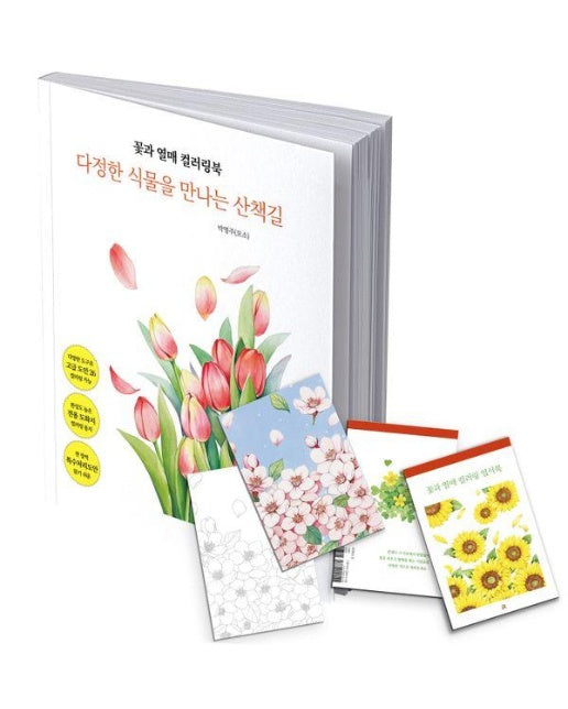 꽃과 열매 컬러링북 엽서 도안 세트 : 다정한 식물을 만나는 산책길