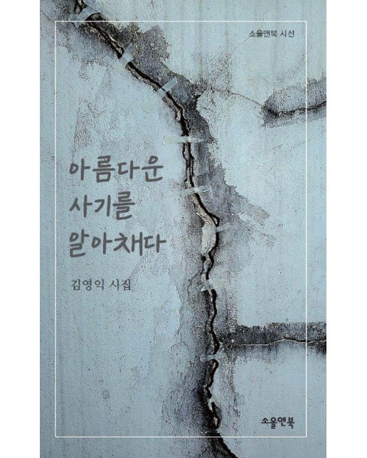 아름다운 사기를 알아채다 - 소울앤북 시선