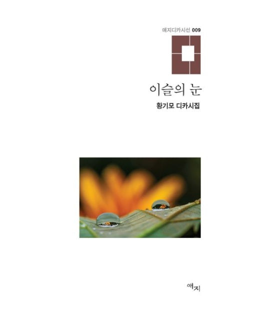 이슬의 눈 (황기모 디카시집 | 양장본 Hardcover)