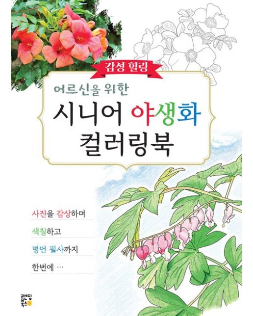 어르신을 위한 감성 힐링 시니어 야생화 컬러링북