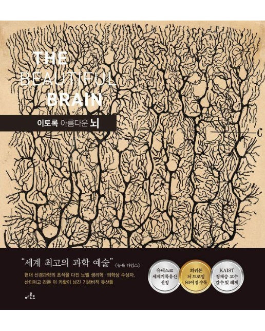 이토록 아름다운 뇌 (양장)
