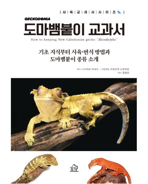 도마뱀붙이 교과서 (기초 지식부터 사육·번식 방법과 도마뱀붙이 종류 소개)